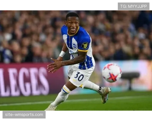 布莱顿以精准转会策略崛起打造球员培养与高效出售的成功范例