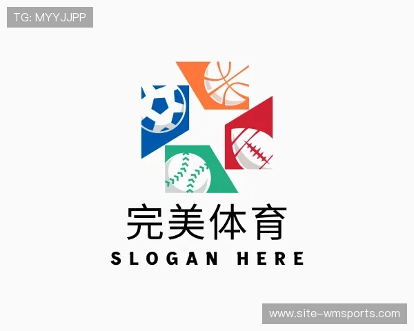 领略完美体育官网